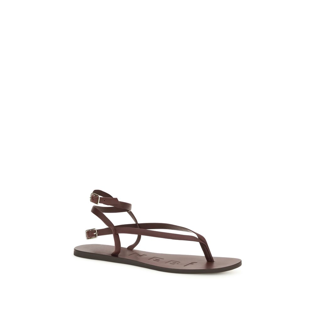 Manebi Brown Calf Leather Bos Taurus Flat Sandals - immagine 2