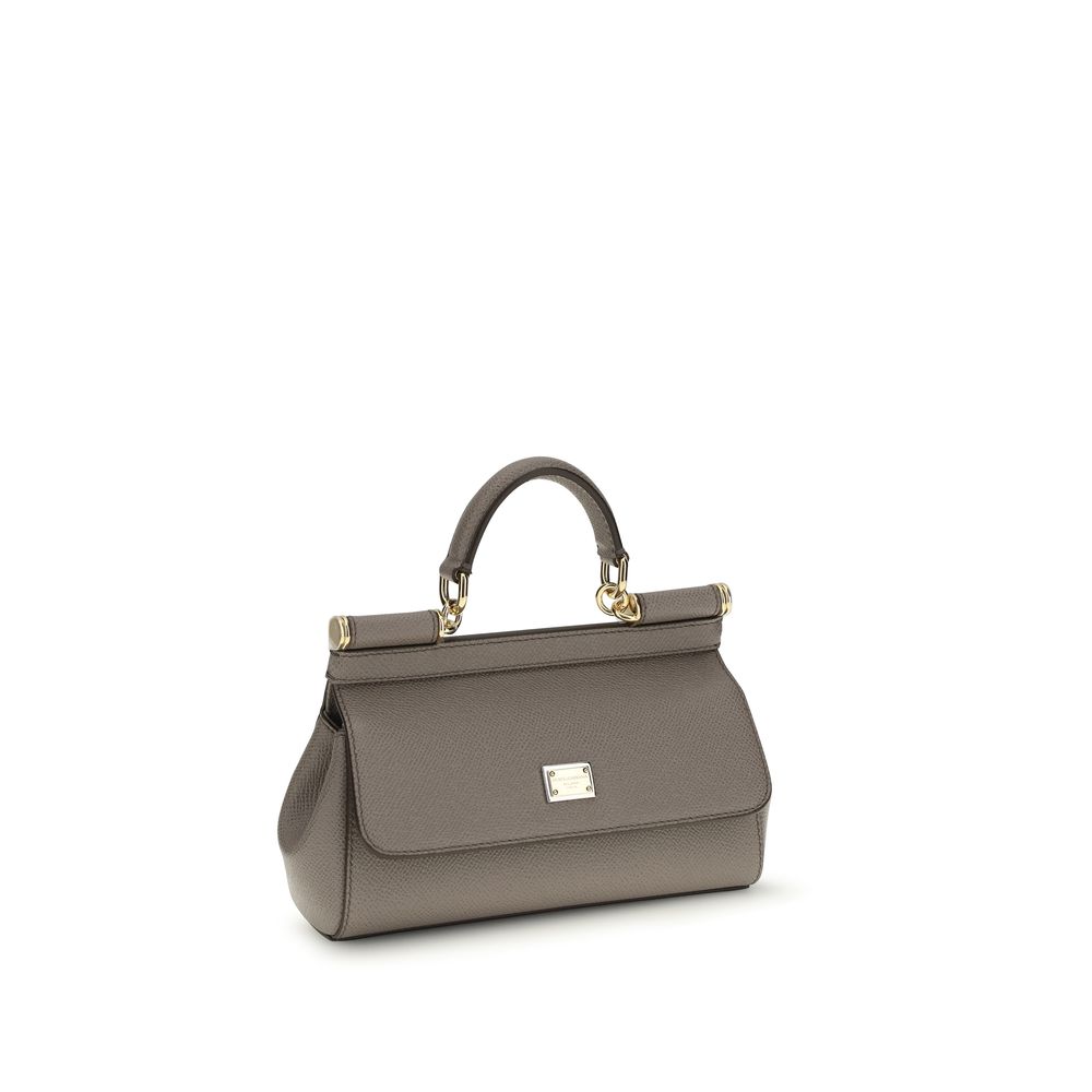 Dolce & Gabbana Gray Calf Leather Bos Taurus Handbag - immagine 2