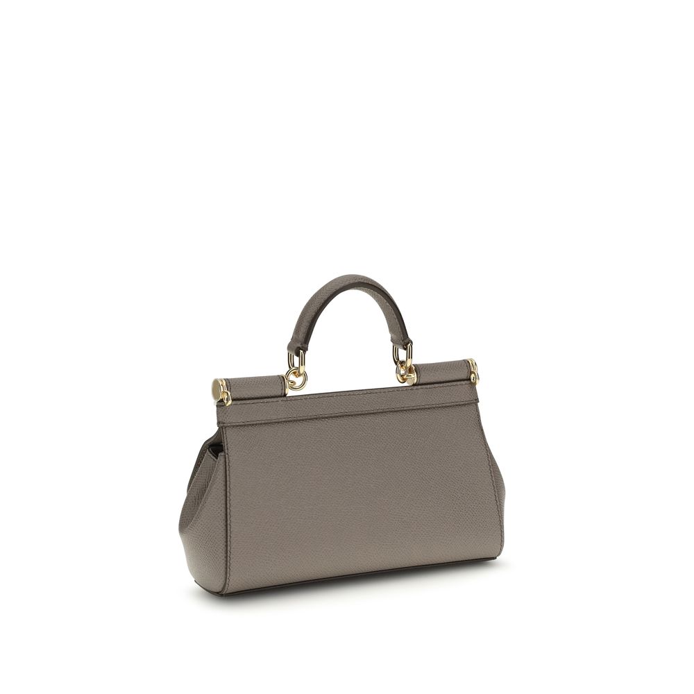 Dolce & Gabbana Gray Calf Leather Bos Taurus Handbag - immagine 3