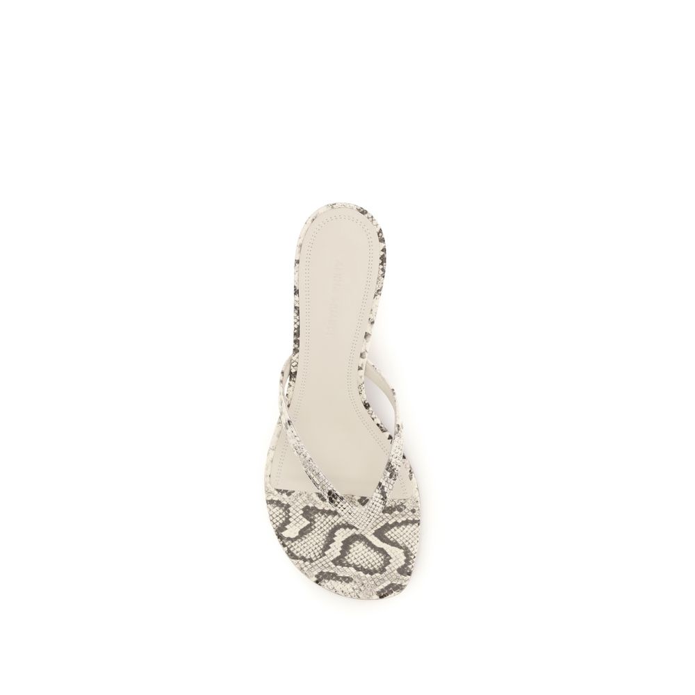 Amina Muaddi Gray Calf Leather Bos Taurus Flat Sandals - immagine 4