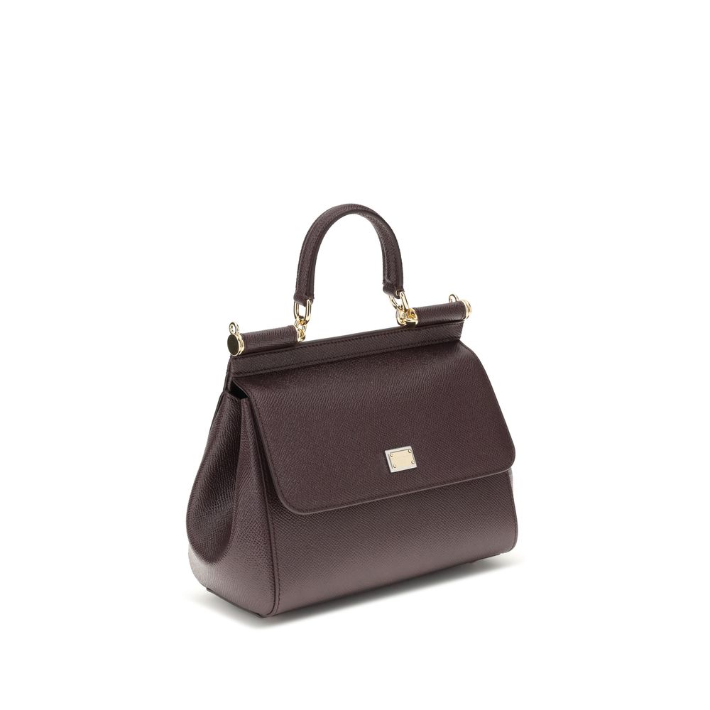 Dolce & Gabbana Brown Calf Leather Bos Taurus Handbag - immagine 2