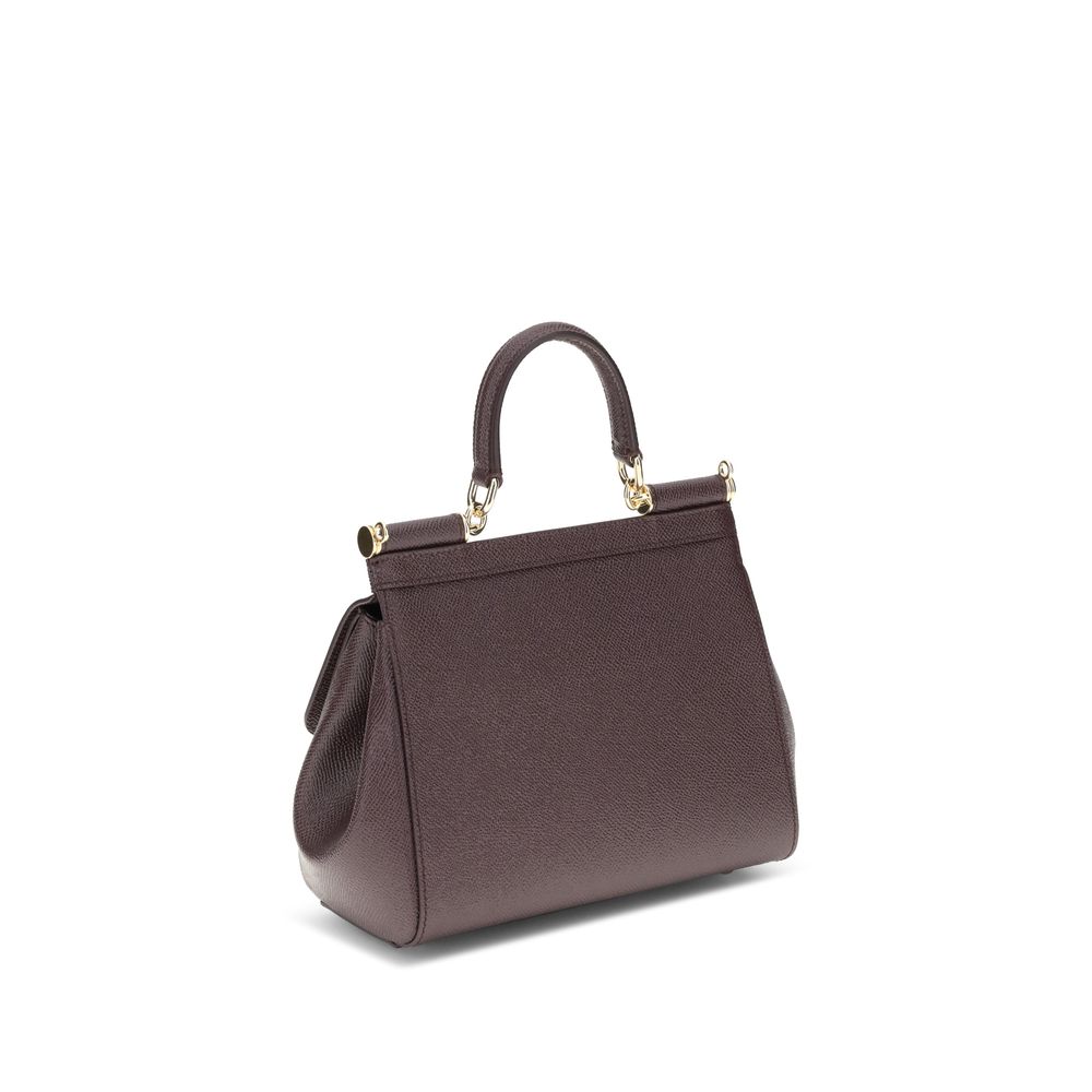 Dolce & Gabbana Brown Calf Leather Bos Taurus Handbag - immagine 3