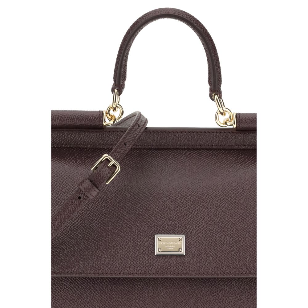 Dolce & Gabbana Brown Calf Leather Bos Taurus Handbag - immagine 4